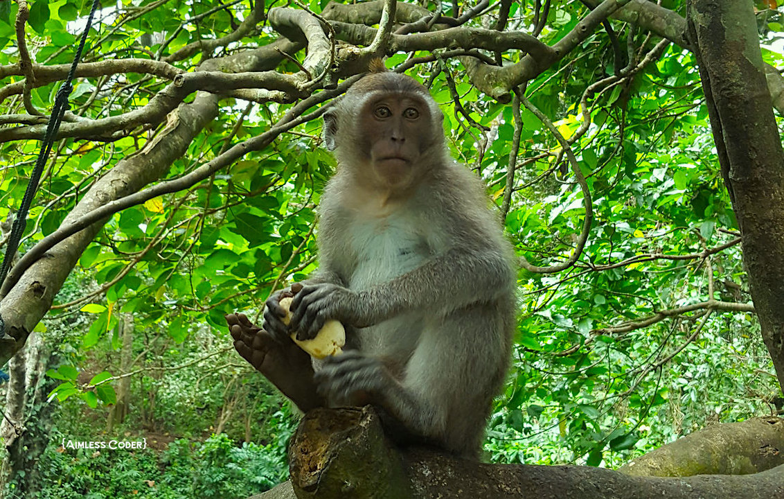 ubud